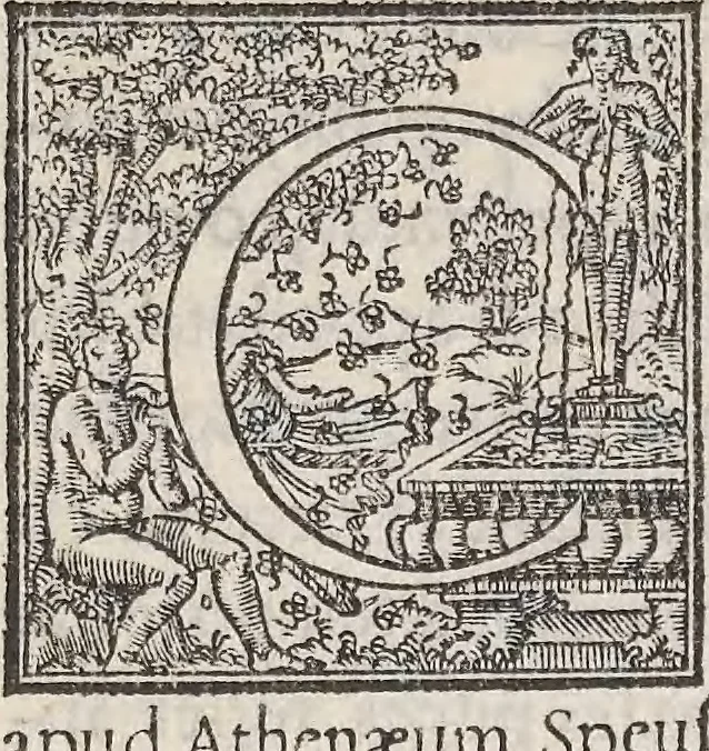 An illustration from Aquatilium animalium historiae, liber primus : cum eorumdem formis, aere excusis, 1554, leaf 176