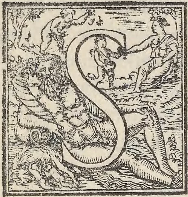 An illustration from Aquatilium animalium historiae, liber primus : cum eorumdem formis, aere excusis, 1554, leaf 180