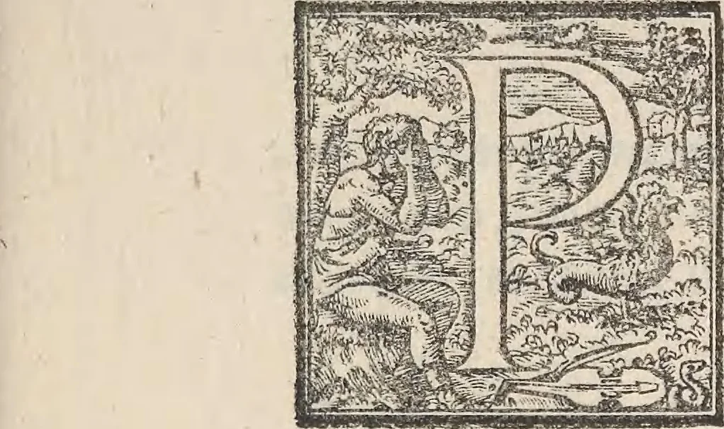 An illustration from Aquatilium animalium historiae, liber primus : cum eorumdem formis, aere excusis, 1554, leaf 184