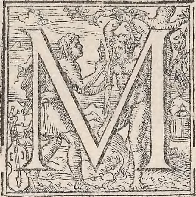 An illustration from Aquatilium animalium historiae, liber primus : cum eorumdem formis, aere excusis, 1554, leaf 187
