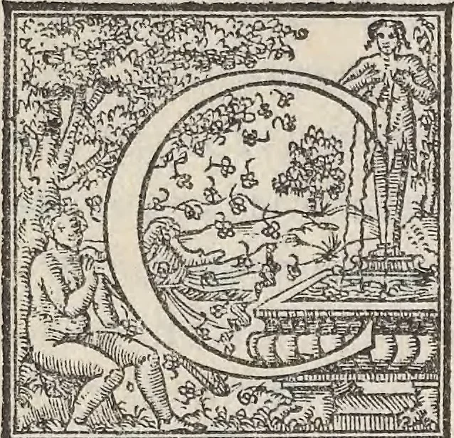 An illustration from Aquatilium animalium historiae, liber primus : cum eorumdem formis, aere excusis, 1554, leaf 194