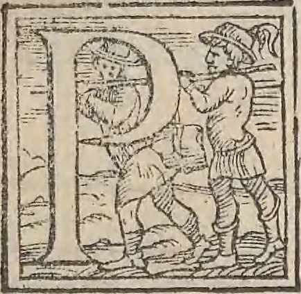 An illustration from Aquatilium animalium historiae, liber primus : cum eorumdem formis, aere excusis, 1554, leaf 20