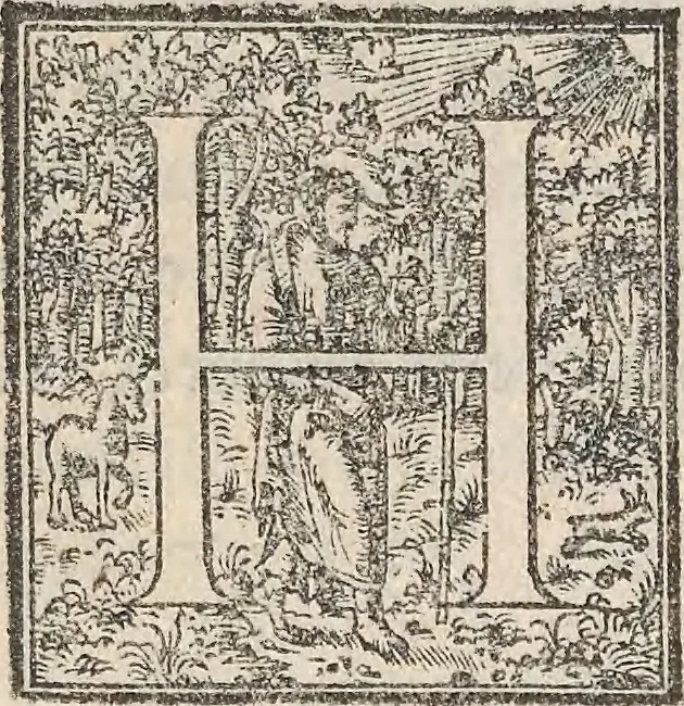An illustration from Aquatilium animalium historiae, liber primus : cum eorumdem formis, aere excusis, 1554, leaf 202