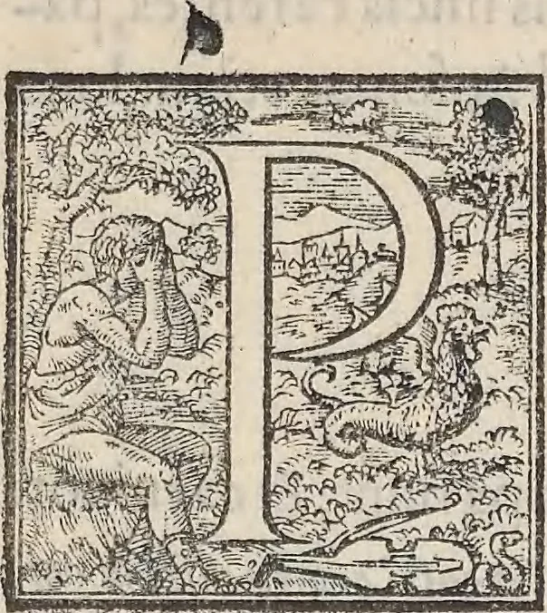 An illustration from Aquatilium animalium historiae, liber primus : cum eorumdem formis, aere excusis, 1554, leaf 208
