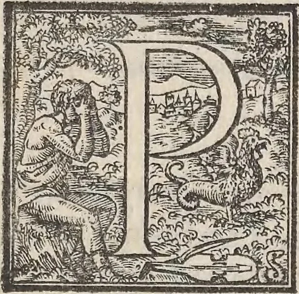 An illustration from Aquatilium animalium historiae, liber primus : cum eorumdem formis, aere excusis, 1554, leaf 212