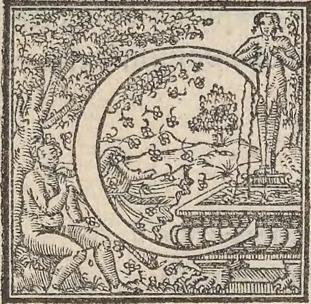 An illustration from Aquatilium animalium historiae, liber primus : cum eorumdem formis, aere excusis, 1554, leaf 216