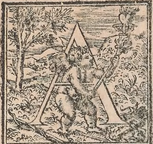 An illustration from Aquatilium animalium historiae, liber primus : cum eorumdem formis, aere excusis, 1554, leaf 219
