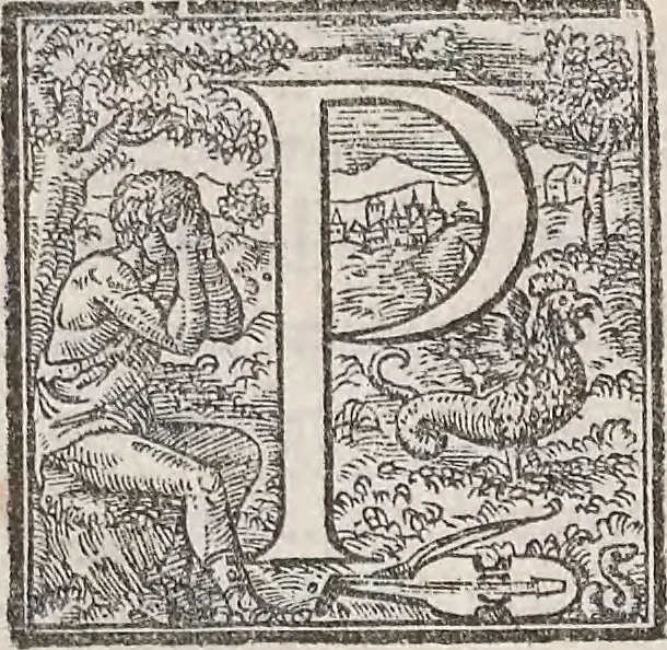 An illustration from Aquatilium animalium historiae, liber primus : cum eorumdem formis, aere excusis, 1554, leaf 233