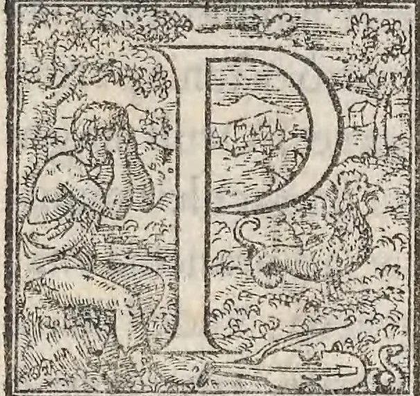 An illustration from Aquatilium animalium historiae, liber primus : cum eorumdem formis, aere excusis, 1554, leaf 240