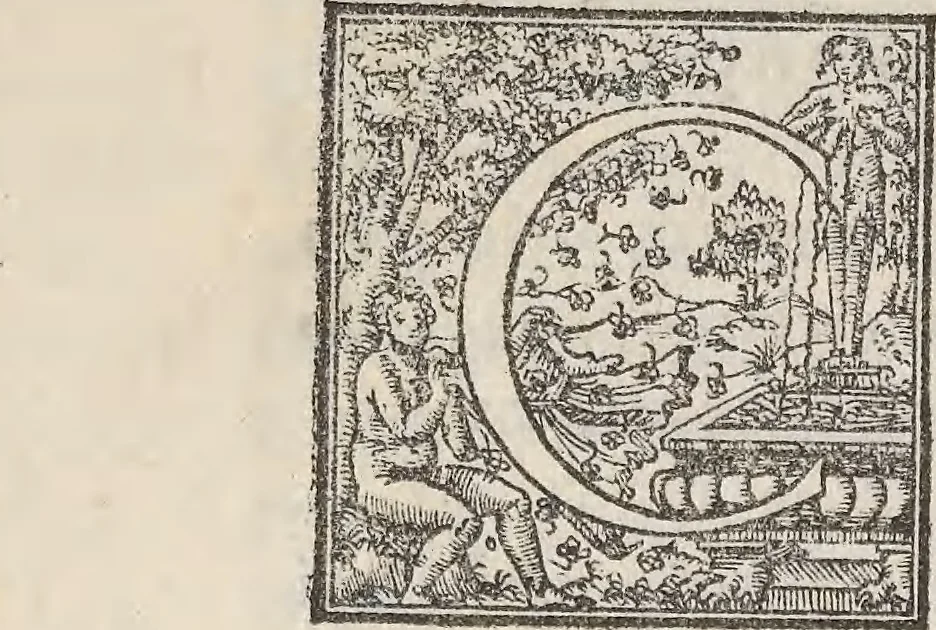 An illustration from Aquatilium animalium historiae, liber primus : cum eorumdem formis, aere excusis, 1554, leaf 244
