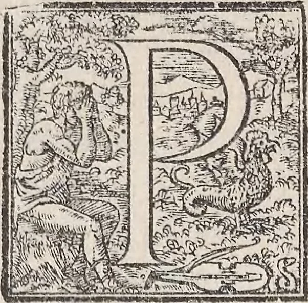 An illustration from Aquatilium animalium historiae, liber primus : cum eorumdem formis, aere excusis, 1554, leaf 249