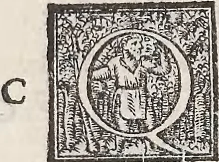 An illustration from Aquatilium animalium historiae, liber primus : cum eorumdem formis, aere excusis, 1554, leaf 255