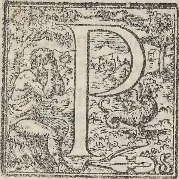 An illustration from Aquatilium animalium historiae, liber primus : cum eorumdem formis, aere excusis, 1554, leaf 272