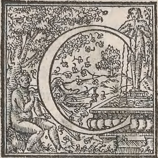 An illustration from Aquatilium animalium historiae, liber primus : cum eorumdem formis, aere excusis, 1554, leaf 279