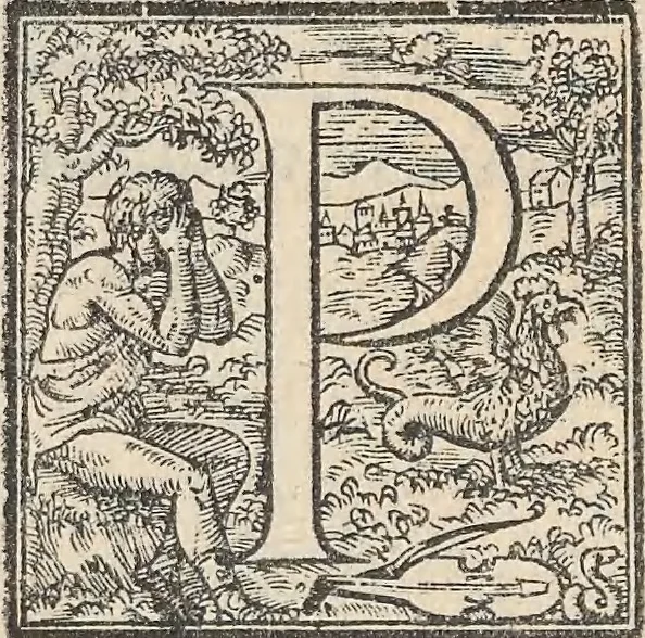 An illustration from Aquatilium animalium historiae, liber primus : cum eorumdem formis, aere excusis, 1554, leaf 286