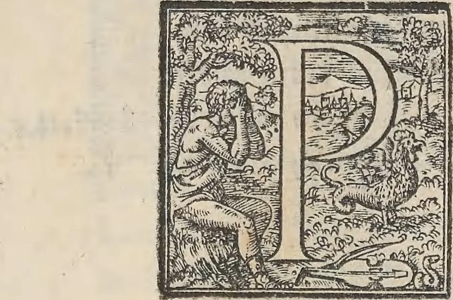 An illustration from Aquatilium animalium historiae, liber primus : cum eorumdem formis, aere excusis, 1554, leaf 290