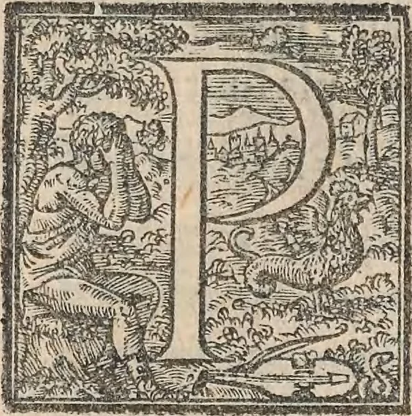 An illustration from Aquatilium animalium historiae, liber primus : cum eorumdem formis, aere excusis, 1554, leaf 294