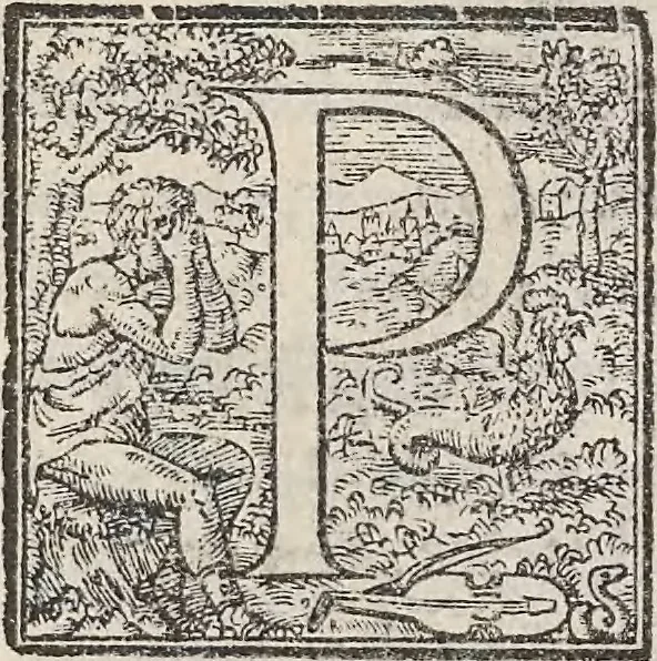 An illustration from Aquatilium animalium historiae, liber primus : cum eorumdem formis, aere excusis, 1554, leaf 298