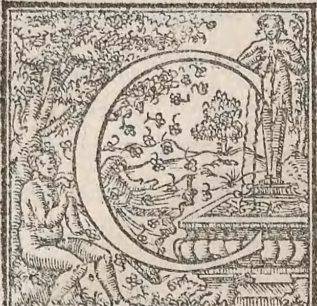 An illustration from Aquatilium animalium historiae, liber primus : cum eorumdem formis, aere excusis, 1554, leaf 303
