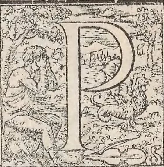 An illustration from Aquatilium animalium historiae, liber primus : cum eorumdem formis, aere excusis, 1554, leaf 307