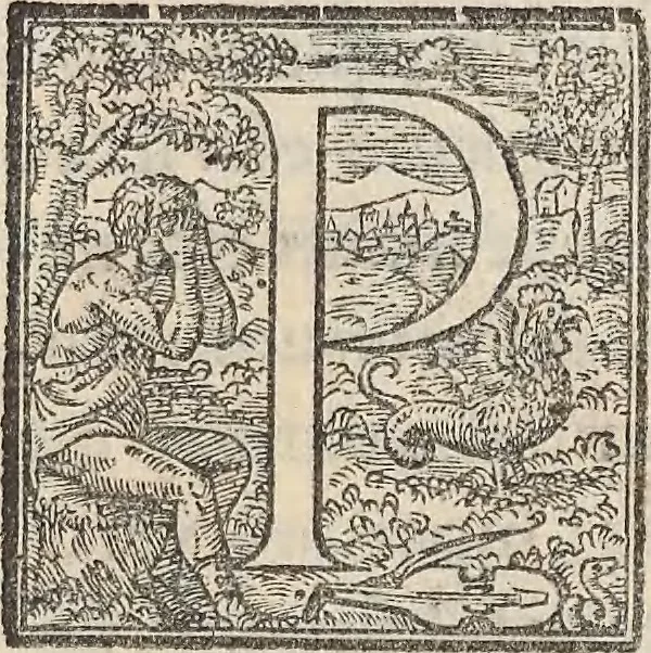 An illustration from Aquatilium animalium historiae, liber primus : cum eorumdem formis, aere excusis, 1554, leaf 312
