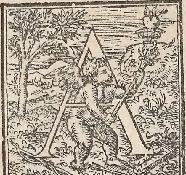 An illustration from Aquatilium animalium historiae, liber primus : cum eorumdem formis, aere excusis, 1554, leaf 317