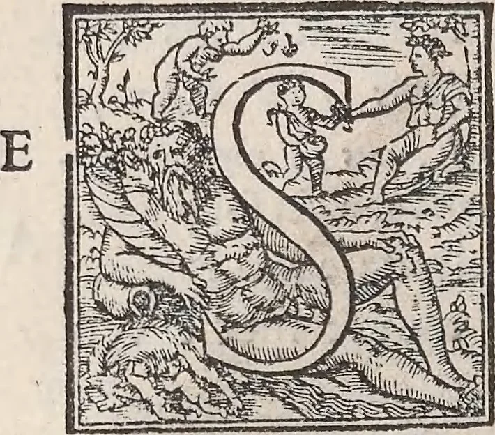 An illustration from Aquatilium animalium historiae, liber primus : cum eorumdem formis, aere excusis, 1554, leaf 325