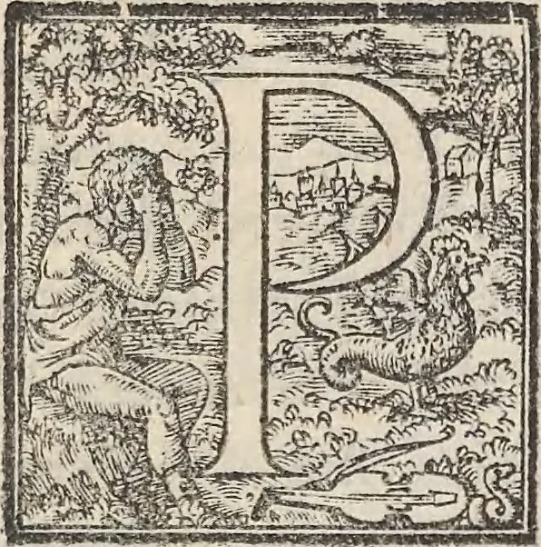 An illustration from Aquatilium animalium historiae, liber primus : cum eorumdem formis, aere excusis, 1554, leaf 328