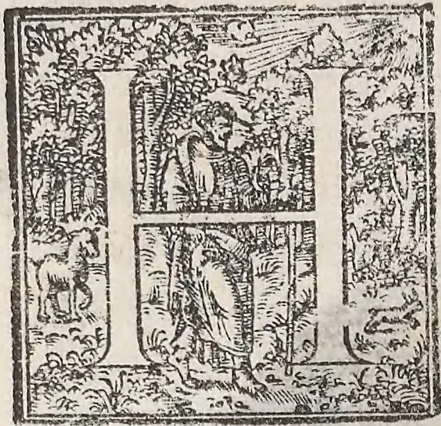 An illustration from Aquatilium animalium historiae, liber primus : cum eorumdem formis, aere excusis, 1554, leaf 333