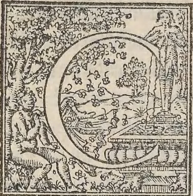 An illustration from Aquatilium animalium historiae, liber primus : cum eorumdem formis, aere excusis, 1554, leaf 338