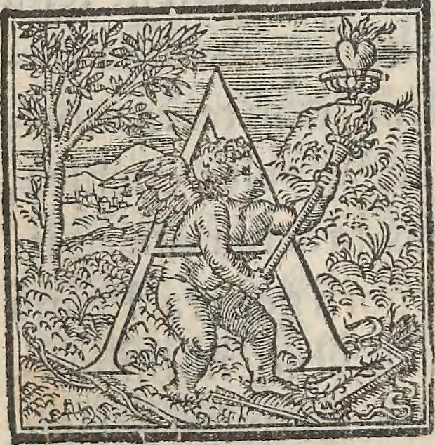 An illustration from Aquatilium animalium historiae, liber primus : cum eorumdem formis, aere excusis, 1554, leaf 340