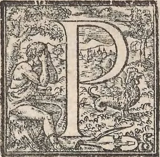 An illustration from Aquatilium animalium historiae, liber primus : cum eorumdem formis, aere excusis, 1554, leaf 349