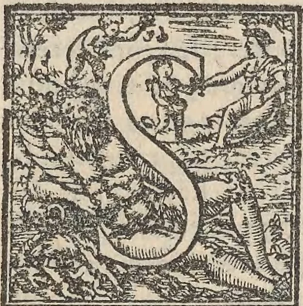 An illustration from Aquatilium animalium historiae, liber primus : cum eorumdem formis, aere excusis, 1554, leaf 358