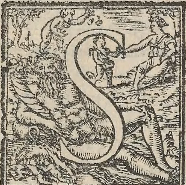 An illustration from Aquatilium animalium historiae, liber primus : cum eorumdem formis, aere excusis, 1554, leaf 368