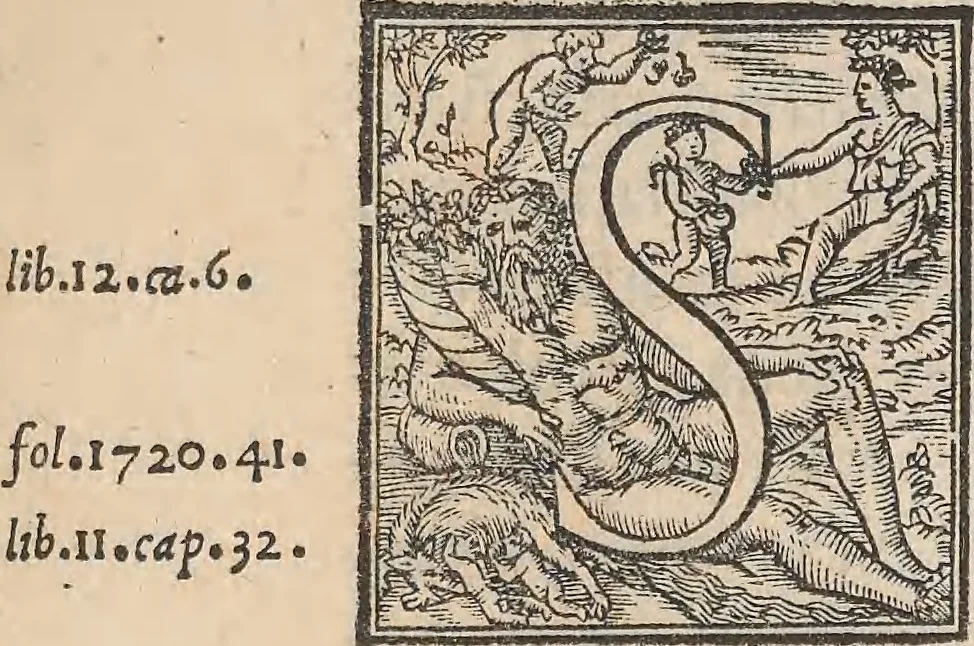 An illustration from Aquatilium animalium historiae, liber primus : cum eorumdem formis, aere excusis, 1554, leaf 372