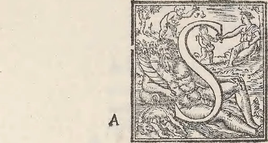An illustration from Aquatilium animalium historiae, liber primus : cum eorumdem formis, aere excusis, 1554, leaf 381