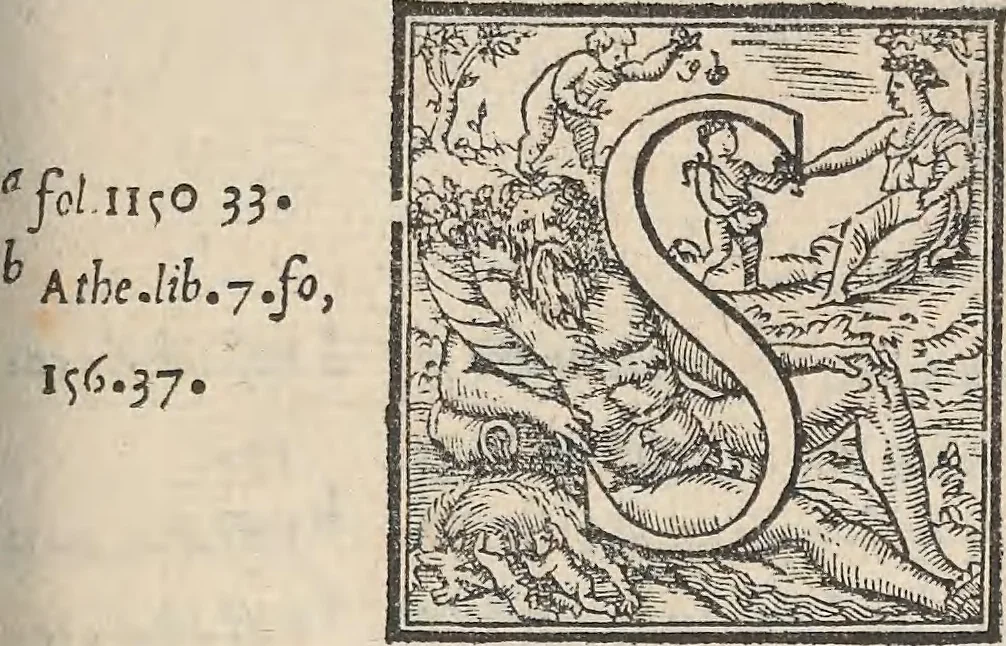 An illustration from Aquatilium animalium historiae, liber primus : cum eorumdem formis, aere excusis, 1554, leaf 386