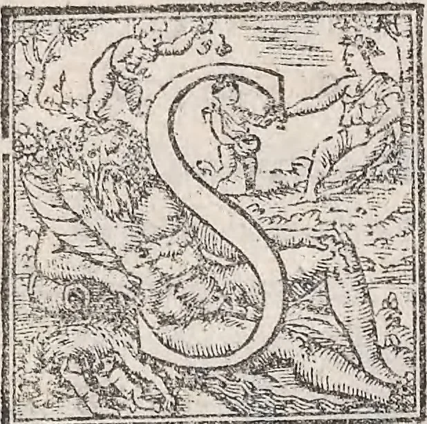 An illustration from Aquatilium animalium historiae, liber primus : cum eorumdem formis, aere excusis, 1554, leaf 389