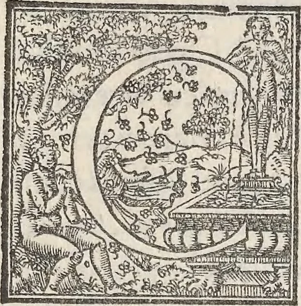 An illustration from Aquatilium animalium historiae, liber primus : cum eorumdem formis, aere excusis, 1554, leaf 394