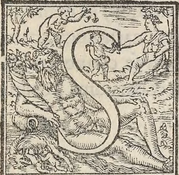 An illustration from Aquatilium animalium historiae, liber primus : cum eorumdem formis, aere excusis, 1554, leaf 400