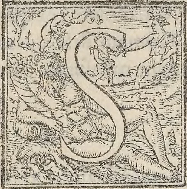 An illustration from Aquatilium animalium historiae, liber primus : cum eorumdem formis, aere excusis, 1554, leaf 404