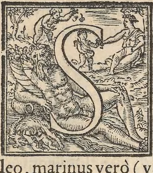 An illustration from Aquatilium animalium historiae, liber primus : cum eorumdem formis, aere excusis, 1554, leaf 416
