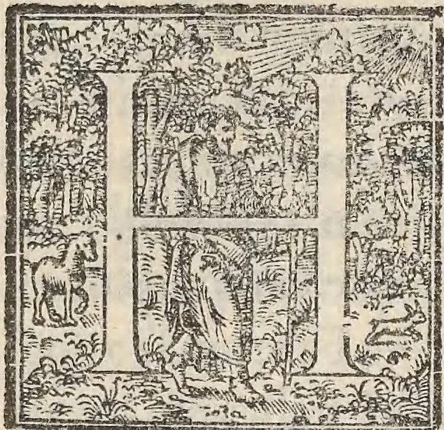 An illustration from Aquatilium animalium historiae, liber primus : cum eorumdem formis, aere excusis, 1554, leaf 426