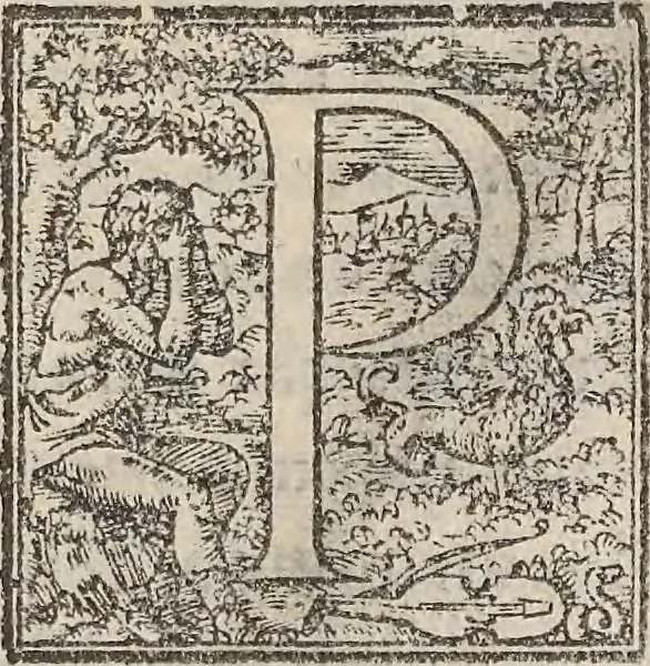 An illustration from Aquatilium animalium historiae, liber primus : cum eorumdem formis, aere excusis, 1554, leaf 432