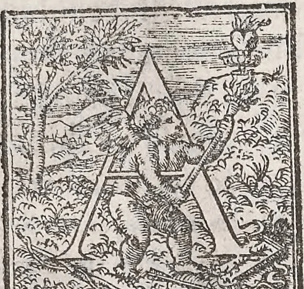 An illustration from Aquatilium animalium historiae, liber primus : cum eorumdem formis, aere excusis, 1554, leaf 443