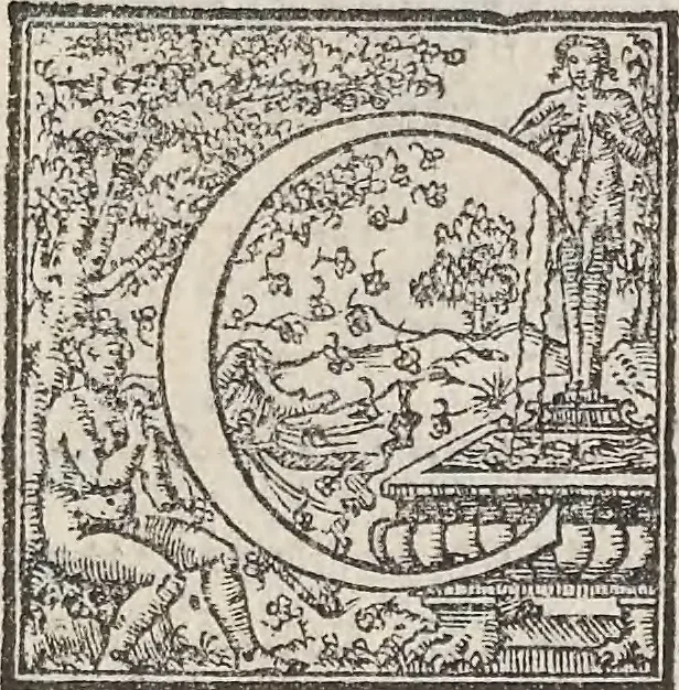 An illustration from Aquatilium animalium historiae, liber primus : cum eorumdem formis, aere excusis, 1554, leaf 446