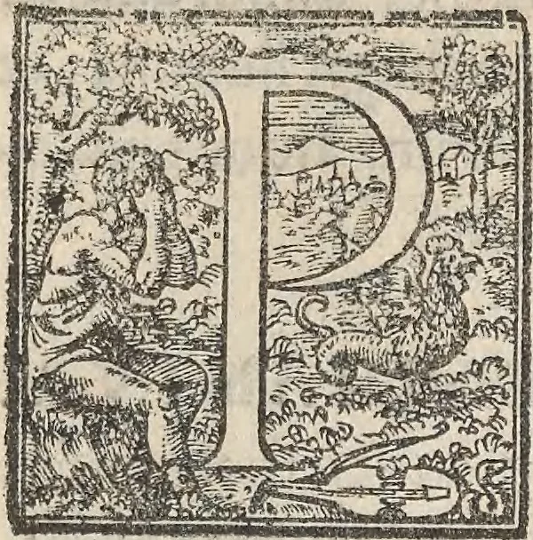 An illustration from Aquatilium animalium historiae, liber primus : cum eorumdem formis, aere excusis, 1554, leaf 450