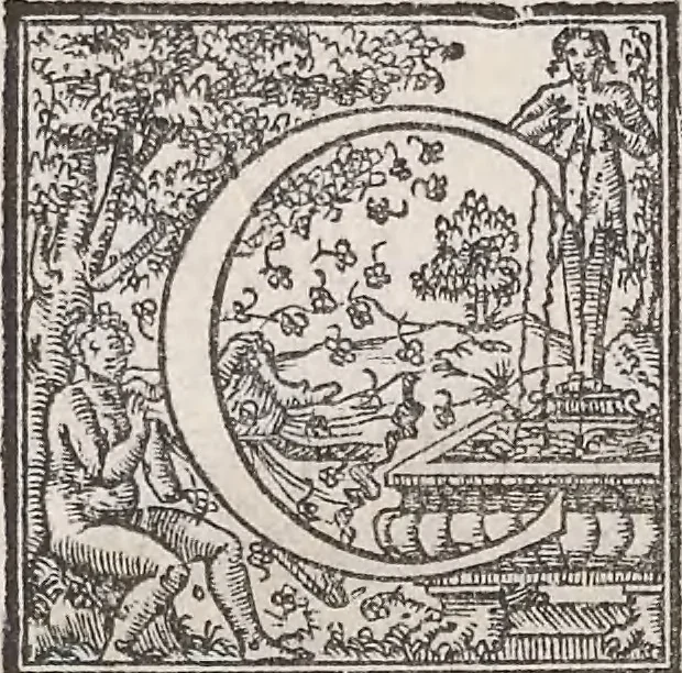 An illustration from Aquatilium animalium historiae, liber primus : cum eorumdem formis, aere excusis, 1554, leaf 453