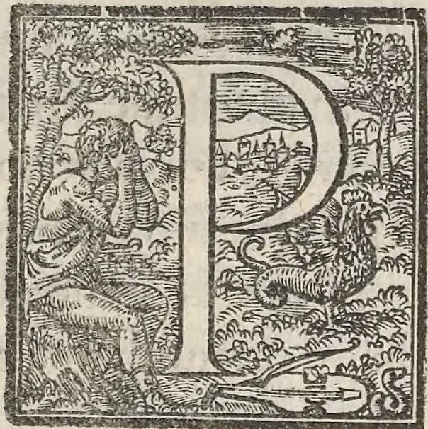 An illustration from Aquatilium animalium historiae, liber primus : cum eorumdem formis, aere excusis, 1554, leaf 454