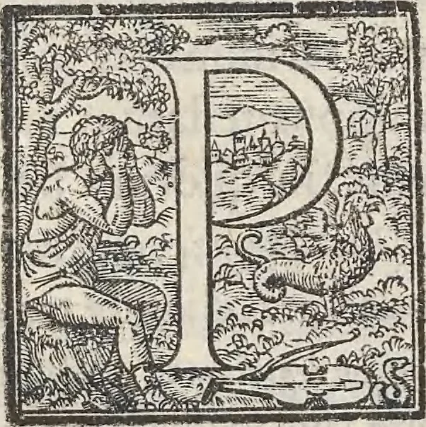 An illustration from Aquatilium animalium historiae, liber primus : cum eorumdem formis, aere excusis, 1554, leaf 456